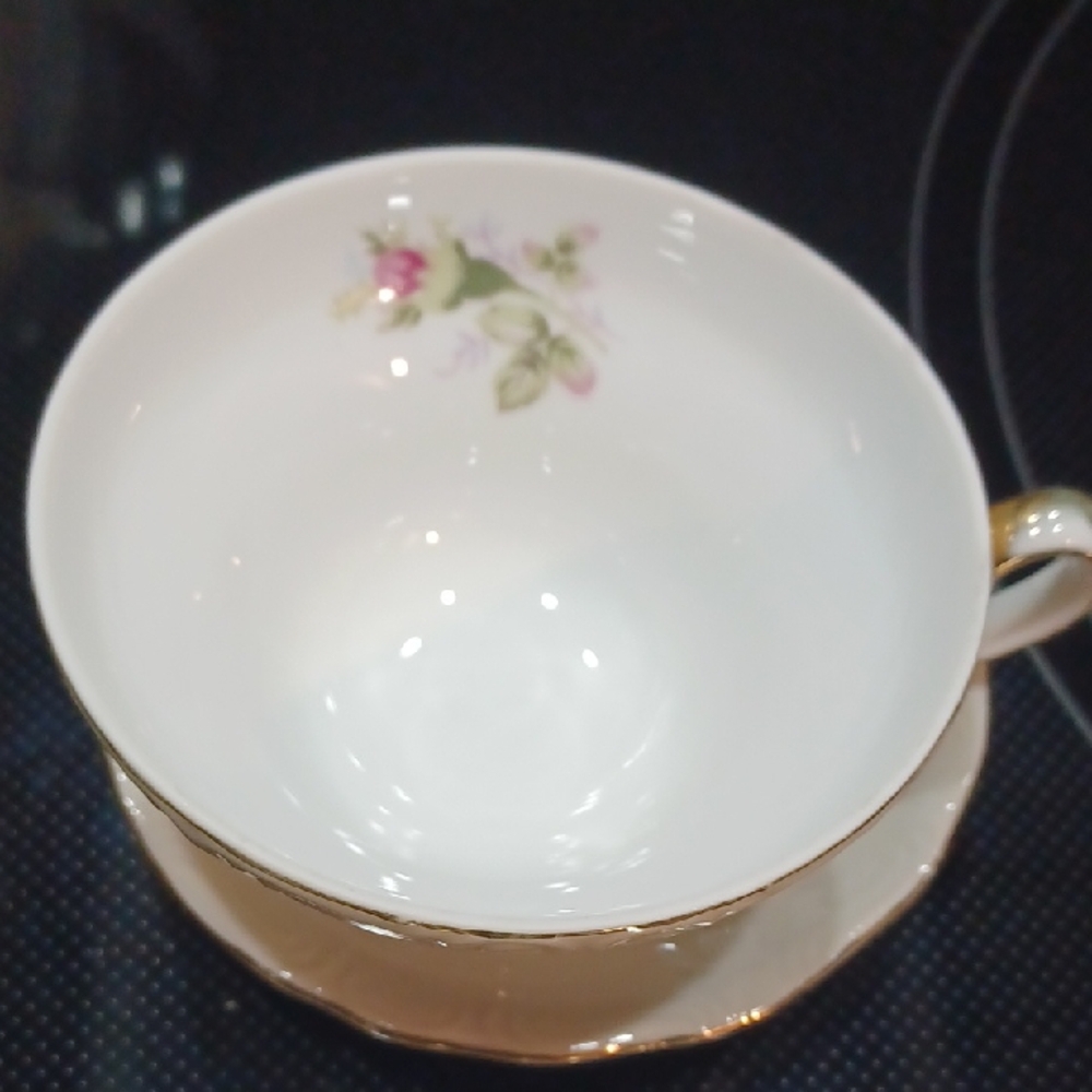 Vintage Elegant Floral Teacup and Saucer Set